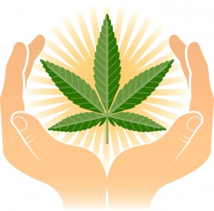 cannabis-medicinal-667x658