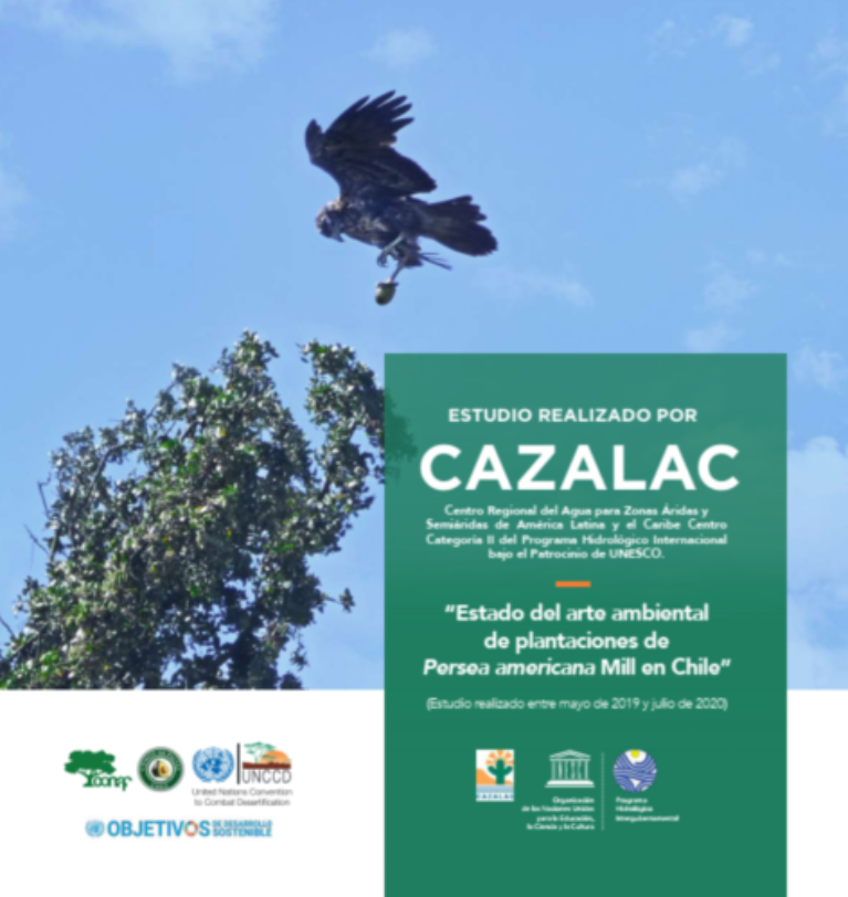 Centro Regional del Agua auspiciado por Unesco realizó primer estudio sobre el cultivo de paltos en Chile catalogándolo como positivo medioambiental y socialmente.