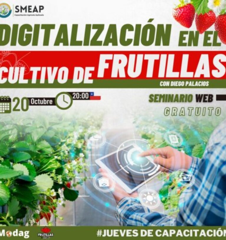 WEBINAR | Digitalización en el Cultivo de Frutillas