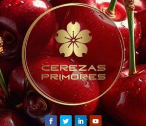 <strong>Seminario Internacional de Cerezas Primores 2023</strong>