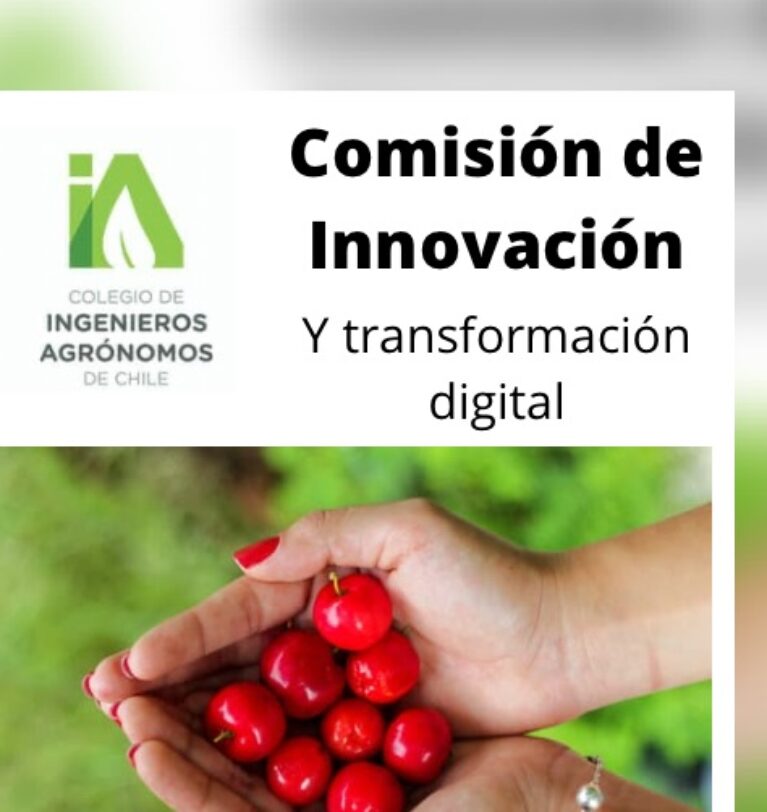 Comisión de Innovación y Transformación Digital 2023