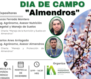 Día de Campo – Almendros