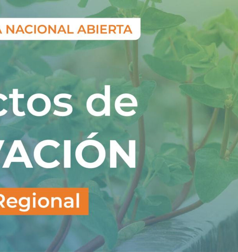 Convocatoria Nacional de Proyectos de Innovación 2025-2026